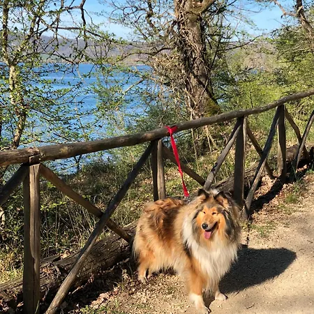 Casale Fedele Relax Vicino Al Borgo Nocleg ze śniadaniem 4*