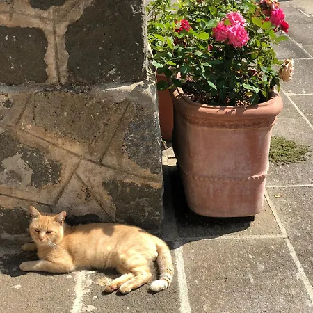 Casale Fedele Relax Vicino Al Borgo 4*